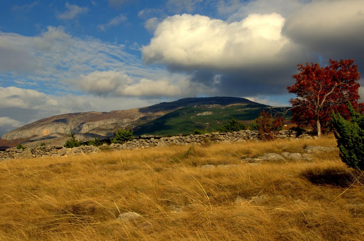 18049850_10211122271965775_1531771146_o