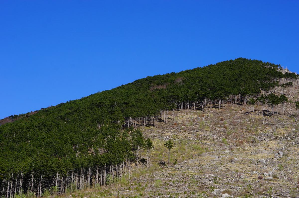 17902133_10211048354077874_464274332_o