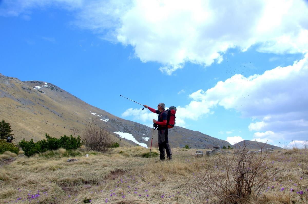 17692337_616347998559881_336624283_o