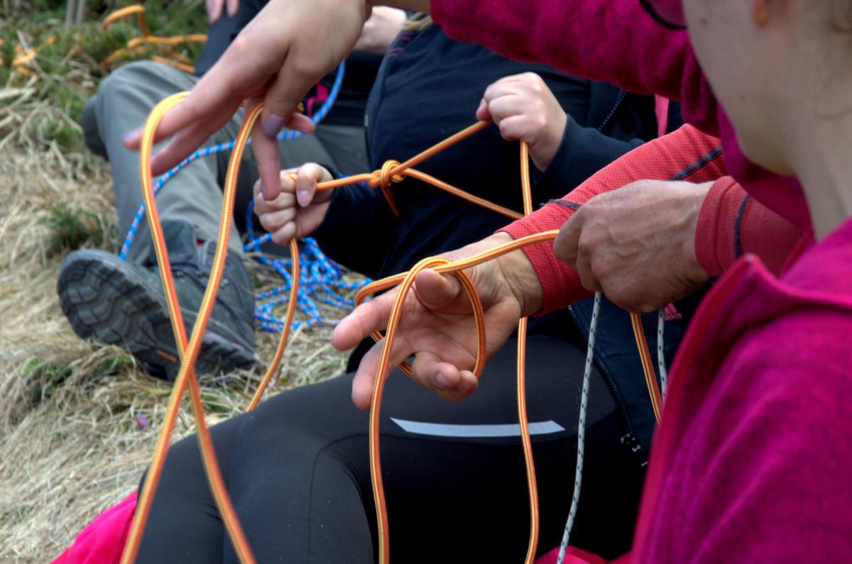 17778677_616345968560084_1143307843_o