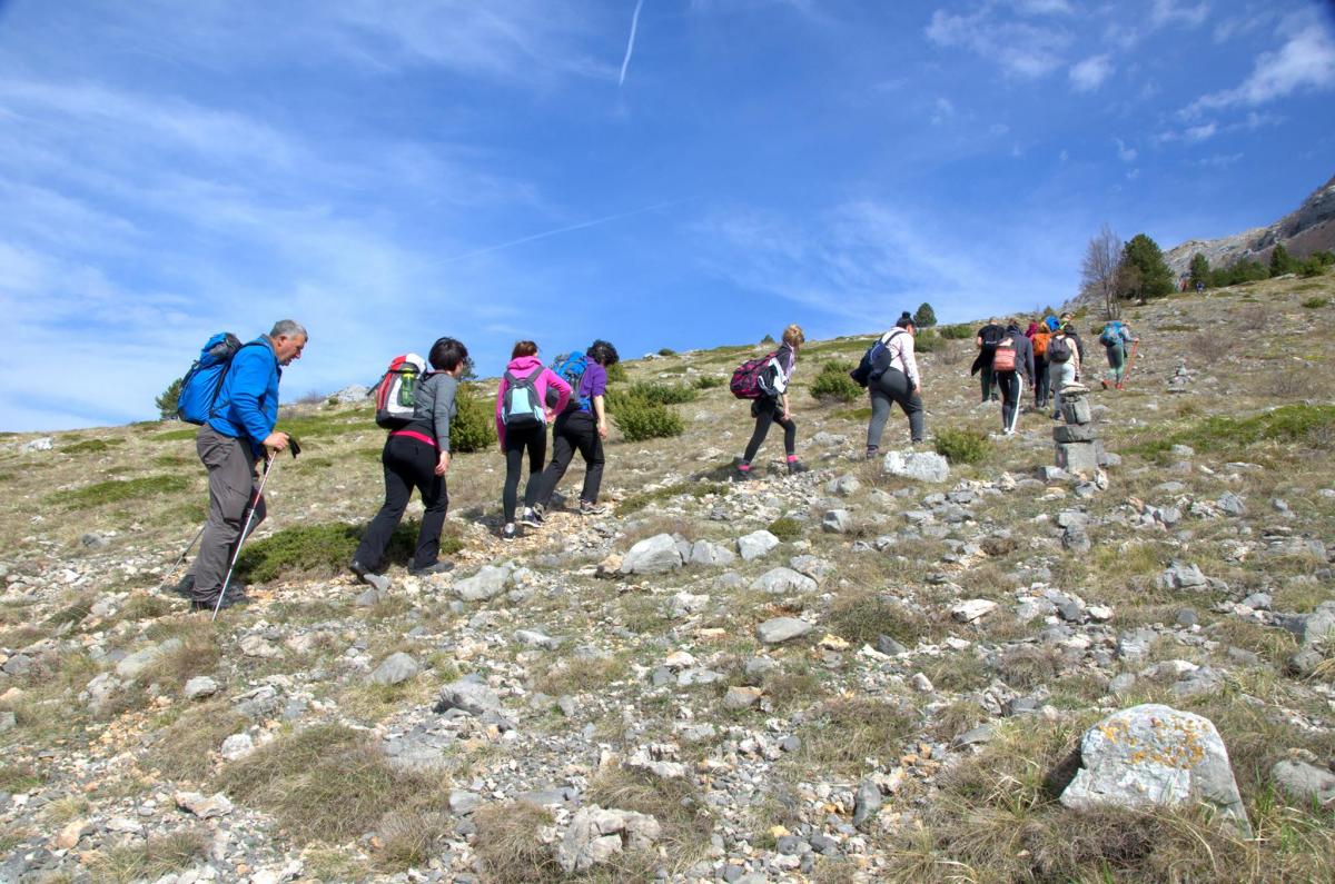 17778741_616347705226577_1371584071_o