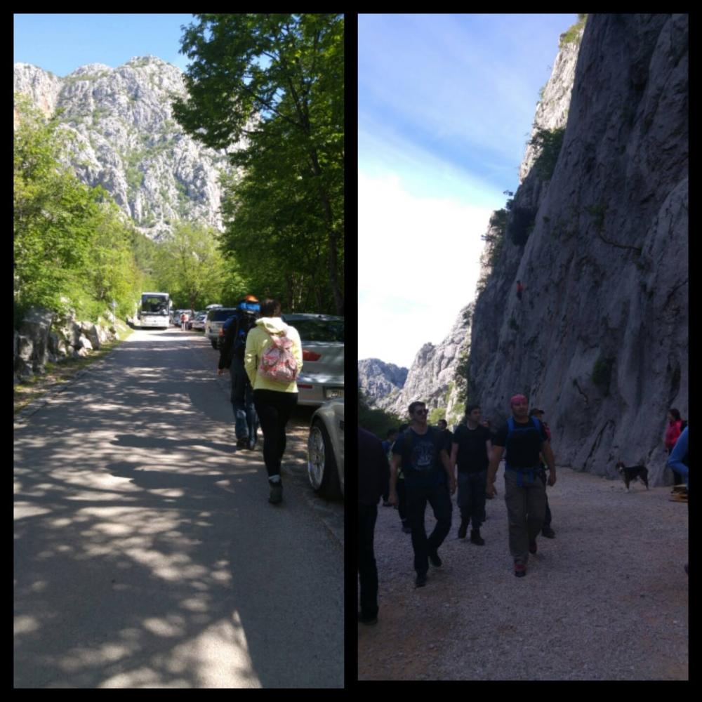 13120521_1158383214206369_1085682838_o