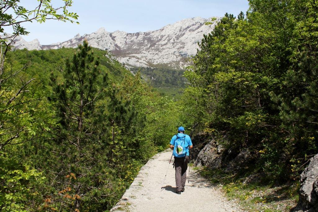 13120897_10154110535436168_905853950_o