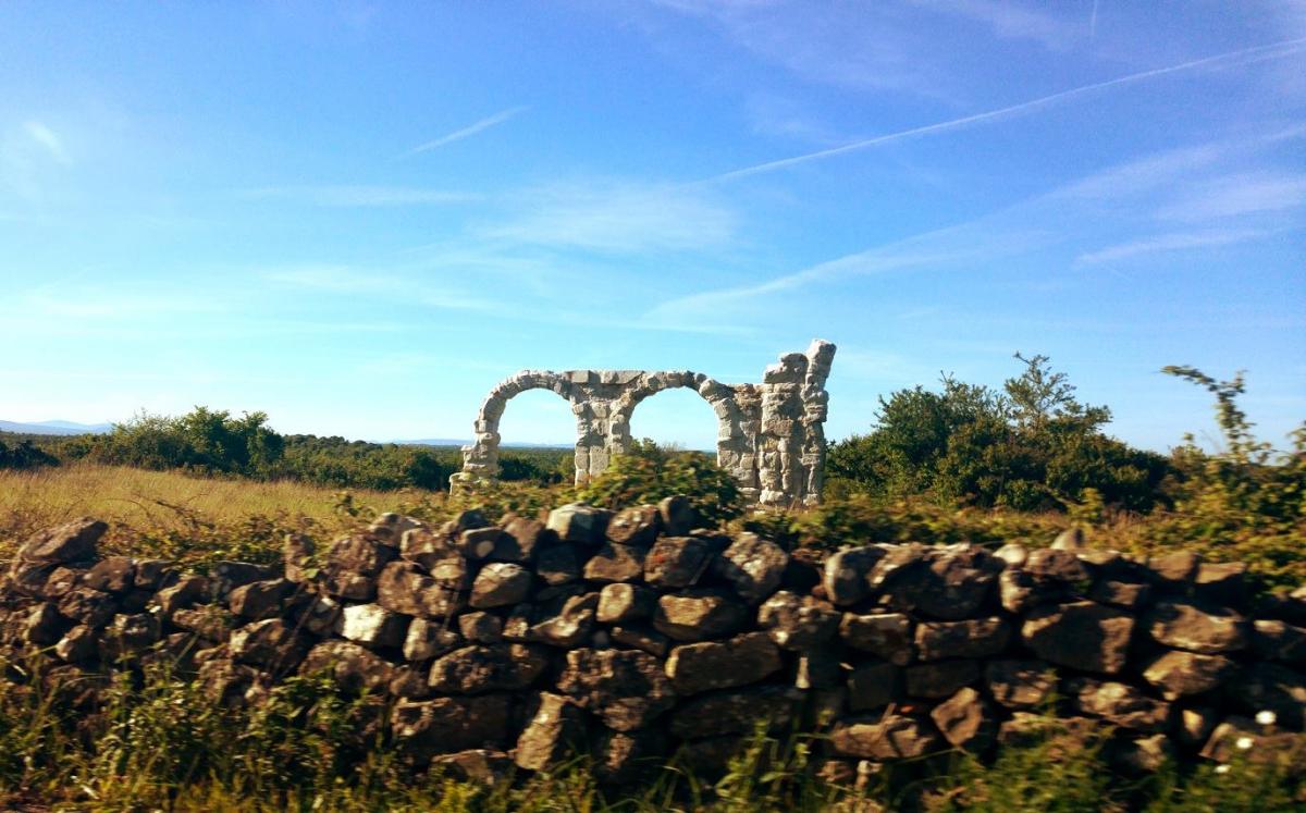 13128862_1158382850873072_1479931344_o