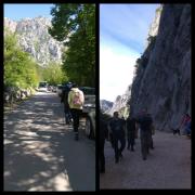 13120521_1158383214206369_1085682838_o