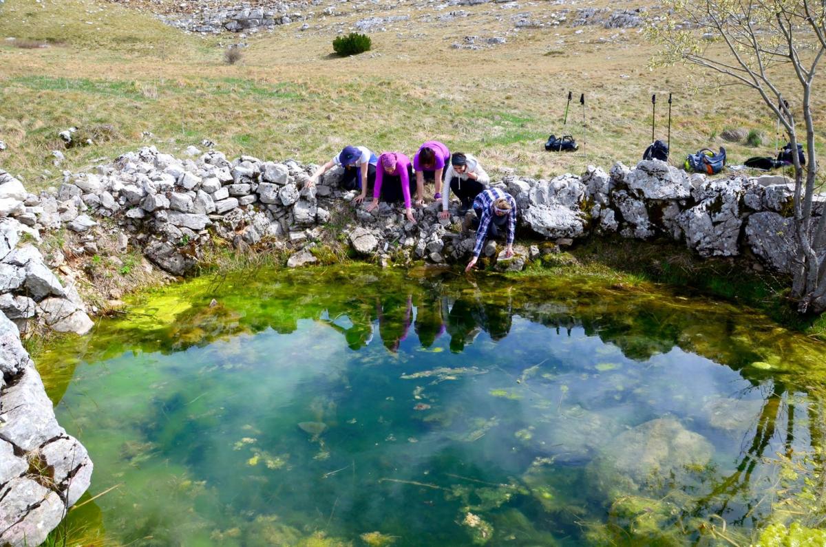 13016422_470035539857795_1140947973_o