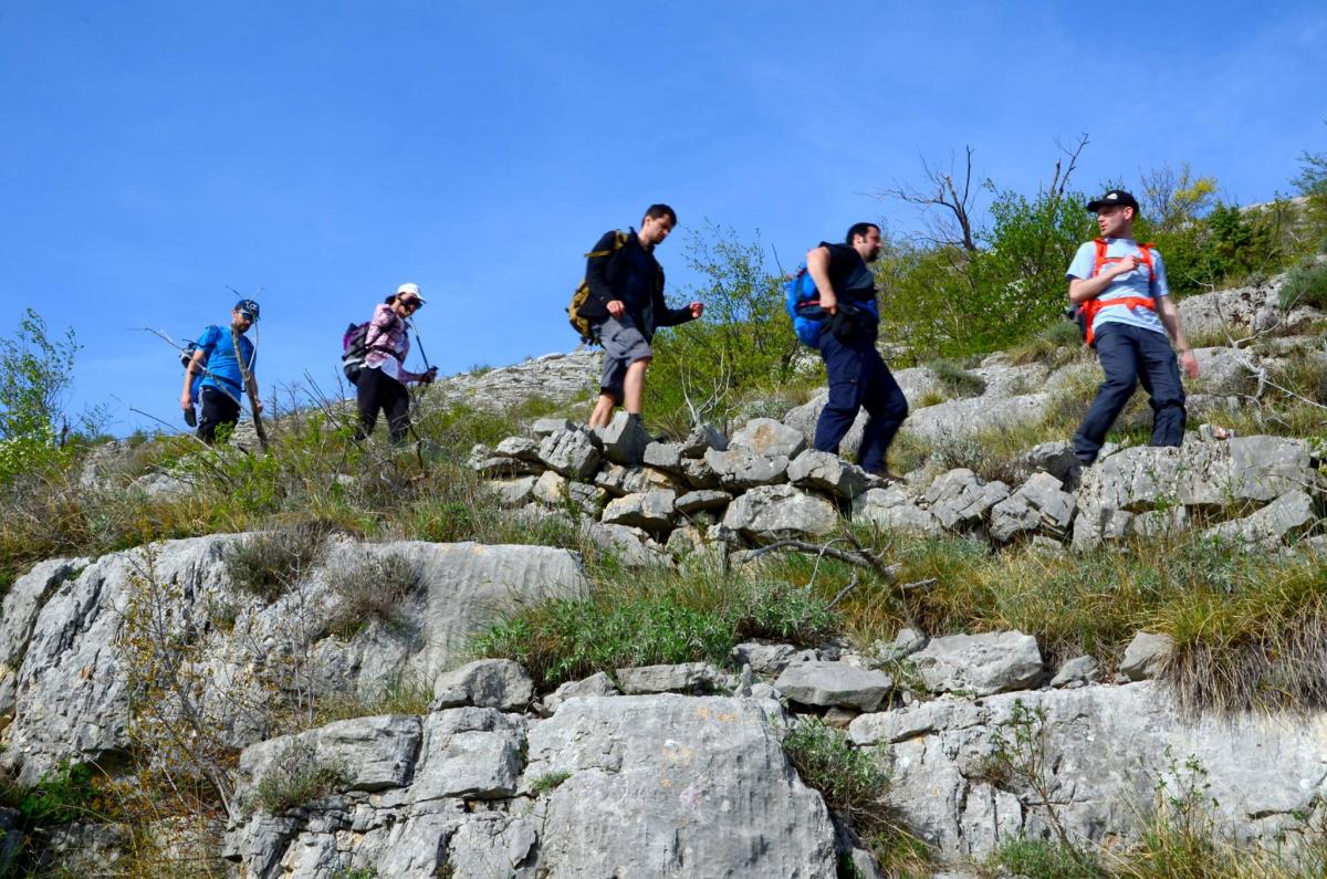 13016570_470035959857753_1023132633_o