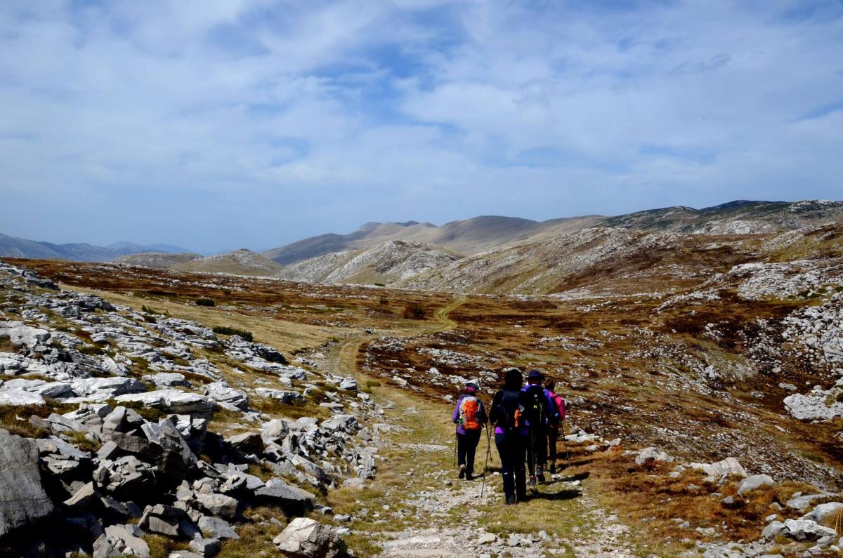 13036389_470035169857832_1531223567_o