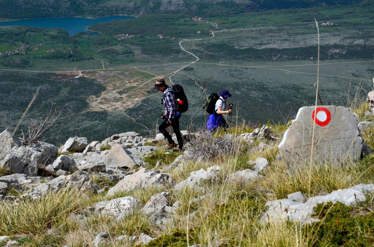 13036481_470034679857881_472880228_o