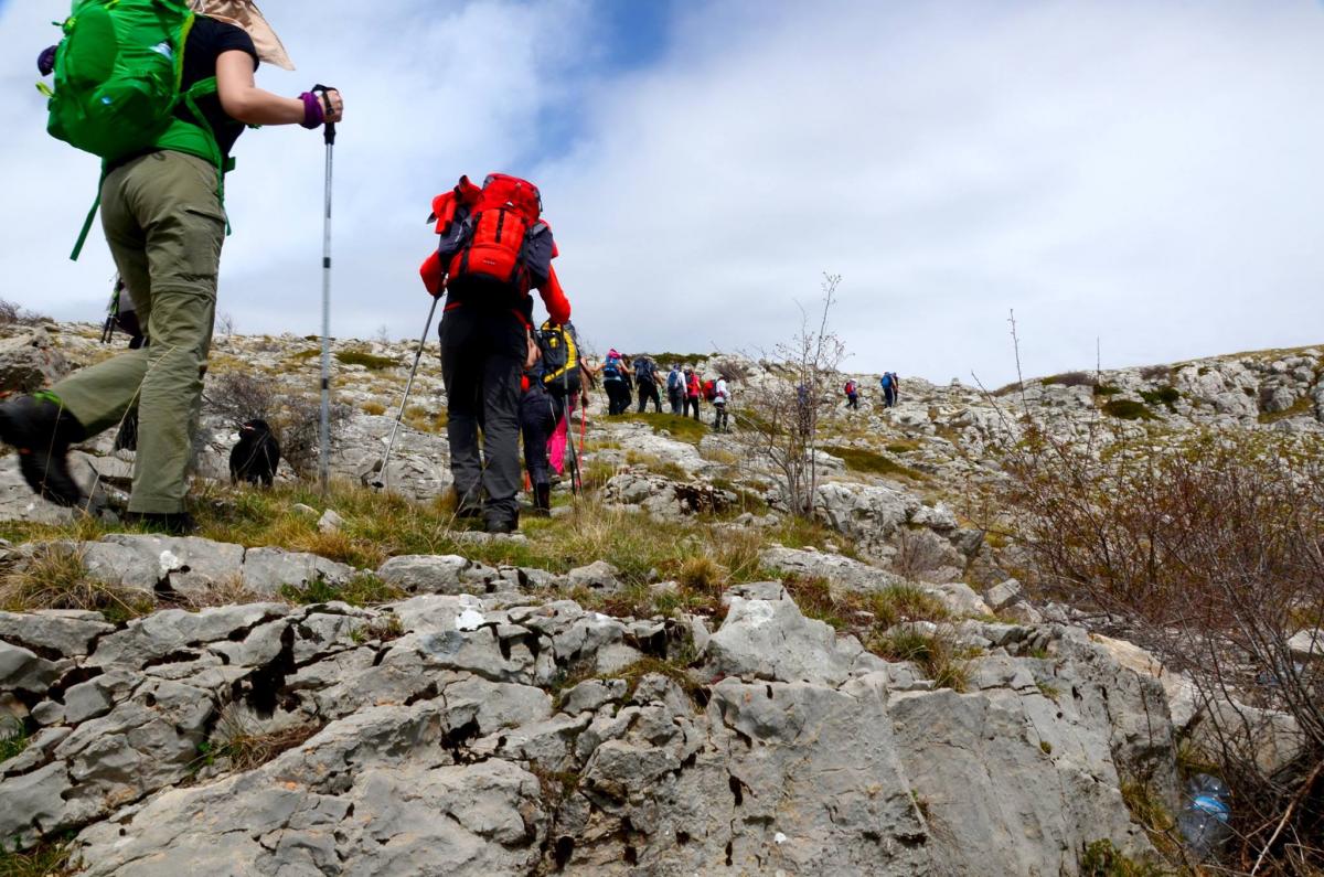 13054754_470034759857873_1396813145_o