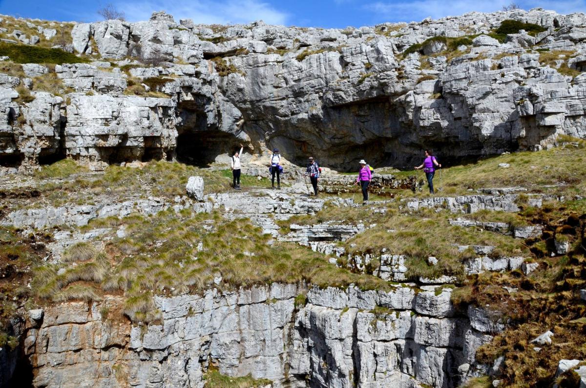 13054926_470035686524447_1879247495_o