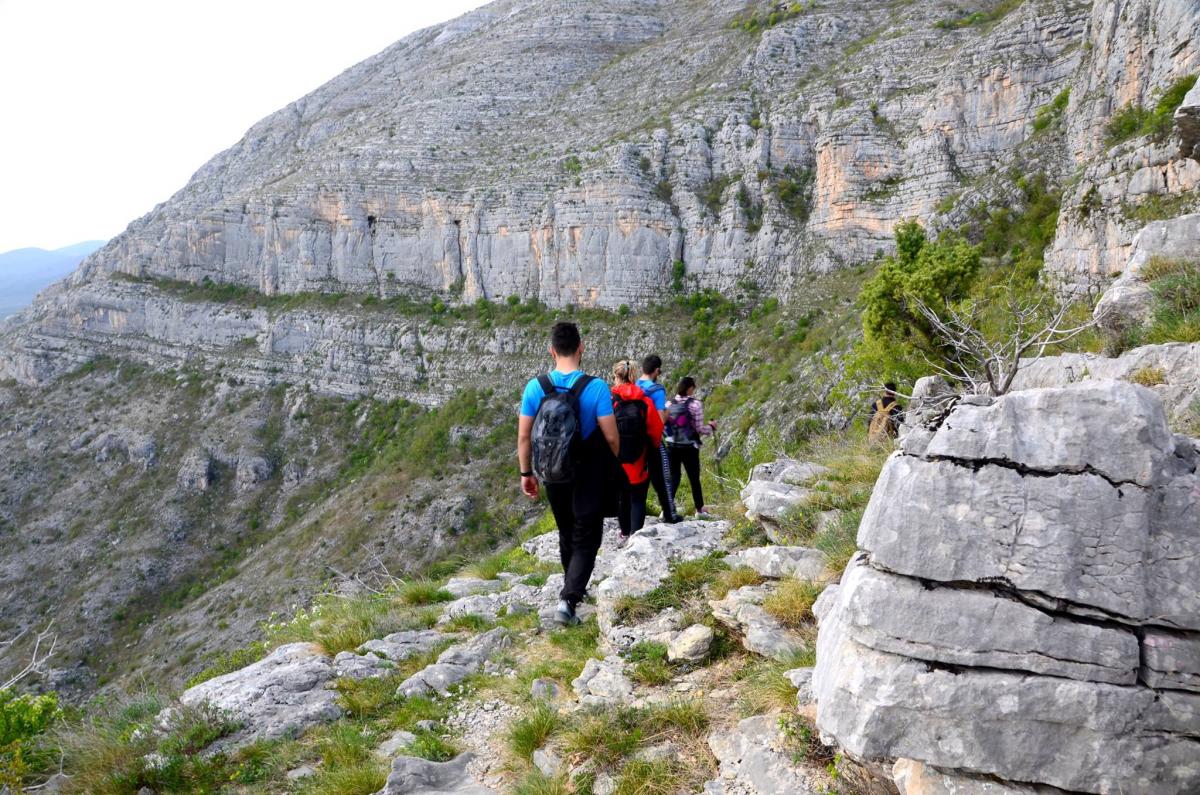 13062780_470035989857750_560420839_o