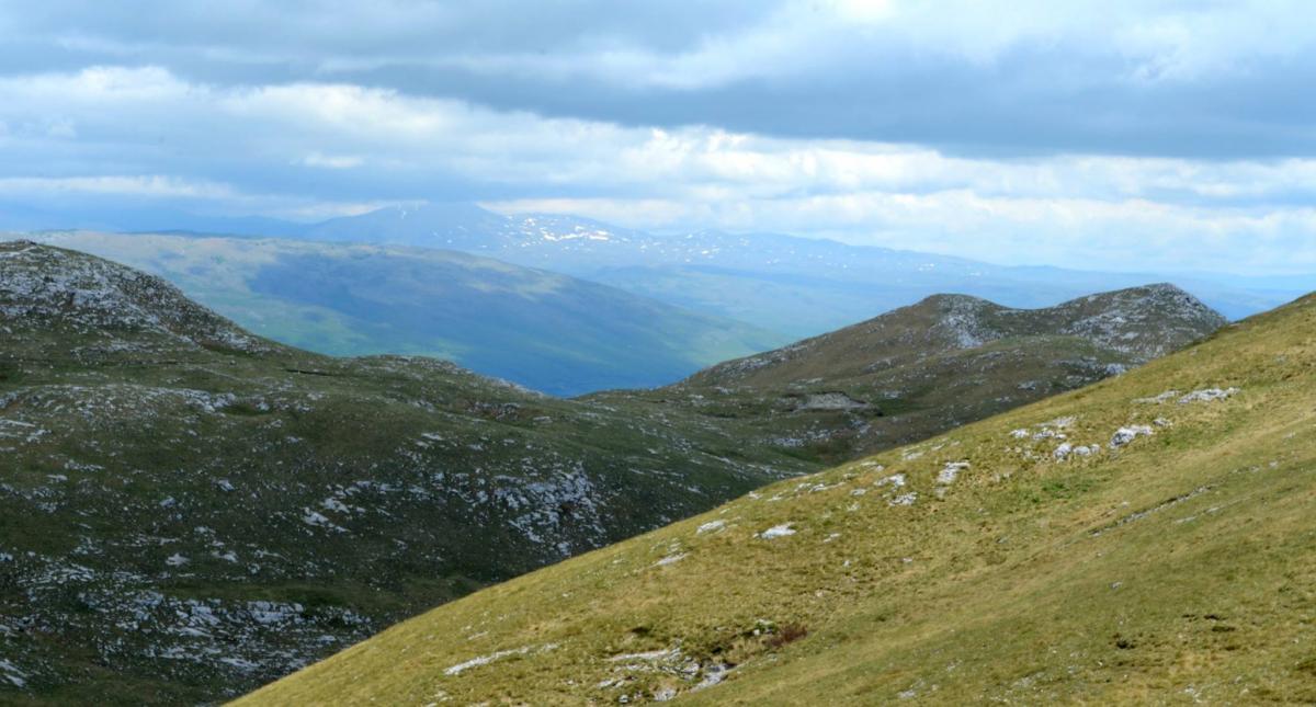 12901303_10207874652977330_1151873363657629329_o