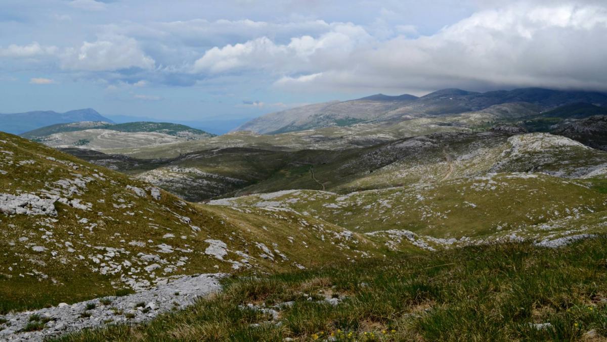 12916096_10207874653137334_1489722683799668700_o