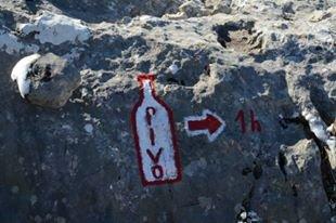 11149286_10205470793362342_3232602568607442262_n