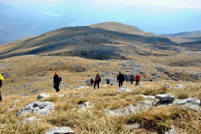 1004877_696371193758336_378445908_n