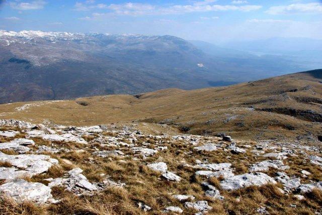 10151953_696371883758267_588233319_n