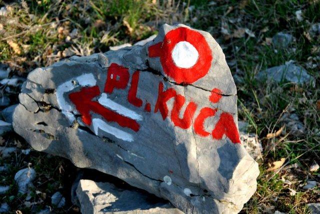 10155195_696372810424841_132732998_n