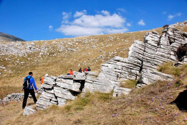 10157292_696371047091684_1982052878_n 1