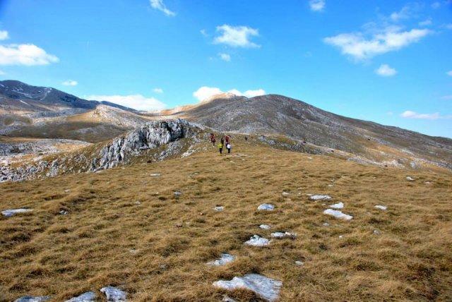 10170874_696372040424918_746933085_n