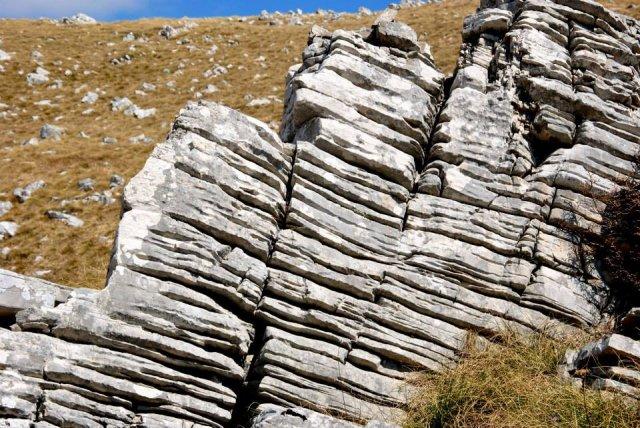 10173618_696370920425030_1668405389_n