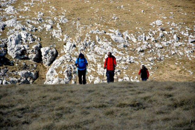 1480738_696372260424896_500001492_n