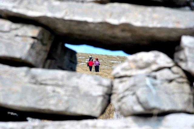 1505092_696372027091586_684831605_n