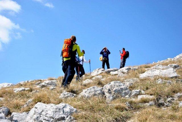 1510372_696371080425014_757232951_n