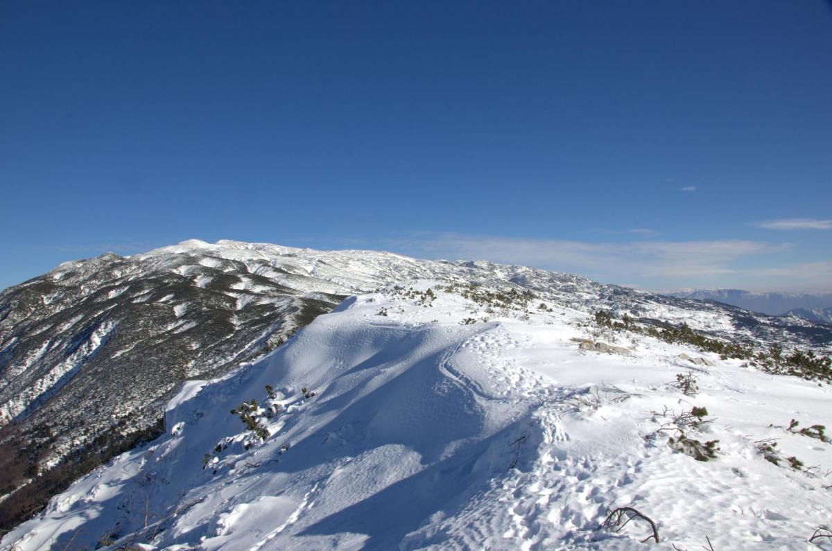 16409121_588616344666380_1928164938_o