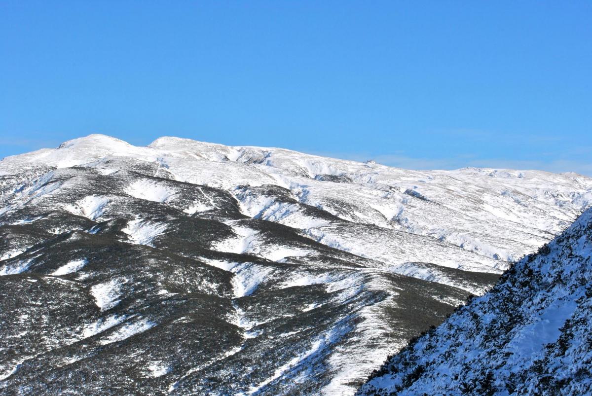 16443195_588614077999940_1931964584_o