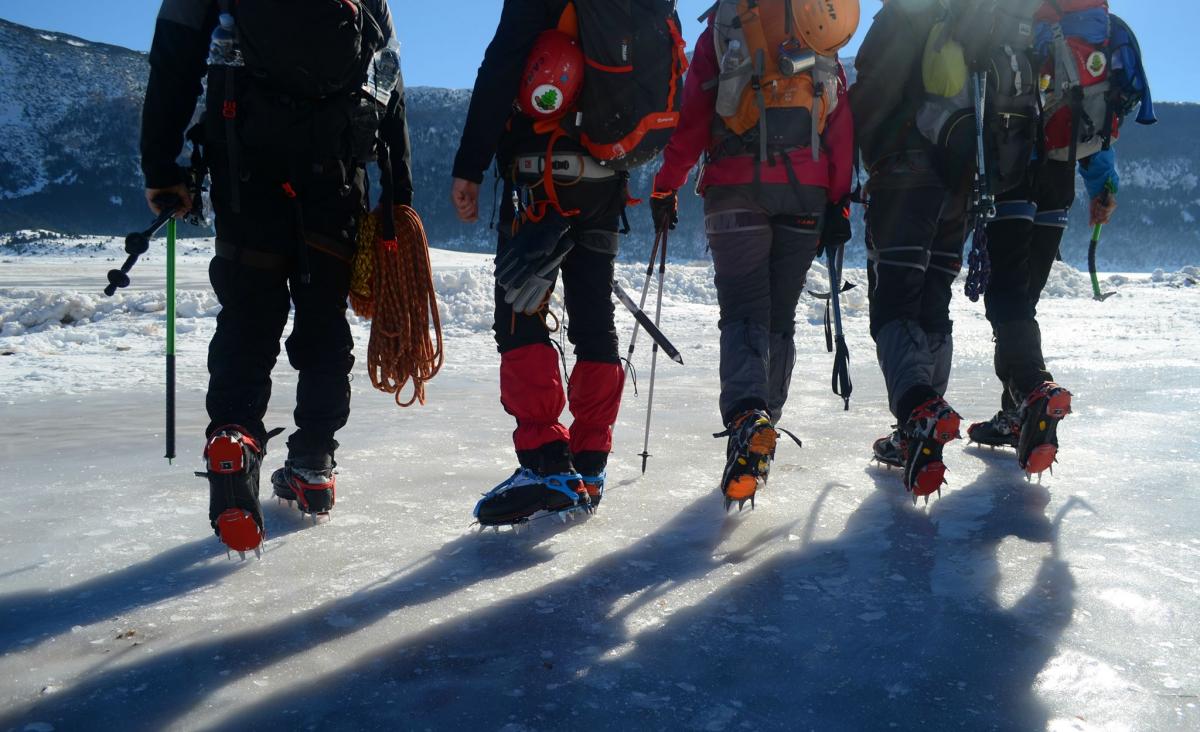 16444128_1846109658991192_619666711_o