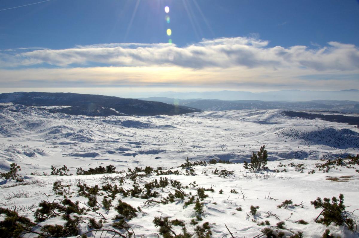 16409763_588618081332873_1223211988_o