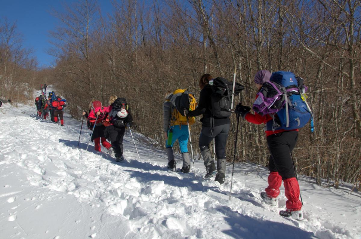 16196140_584913865036628_107548876_o