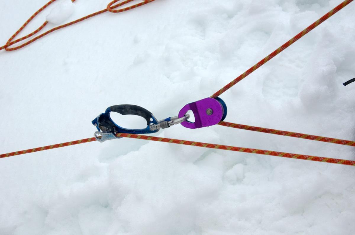 16522048_591255151069166_2114108489_o