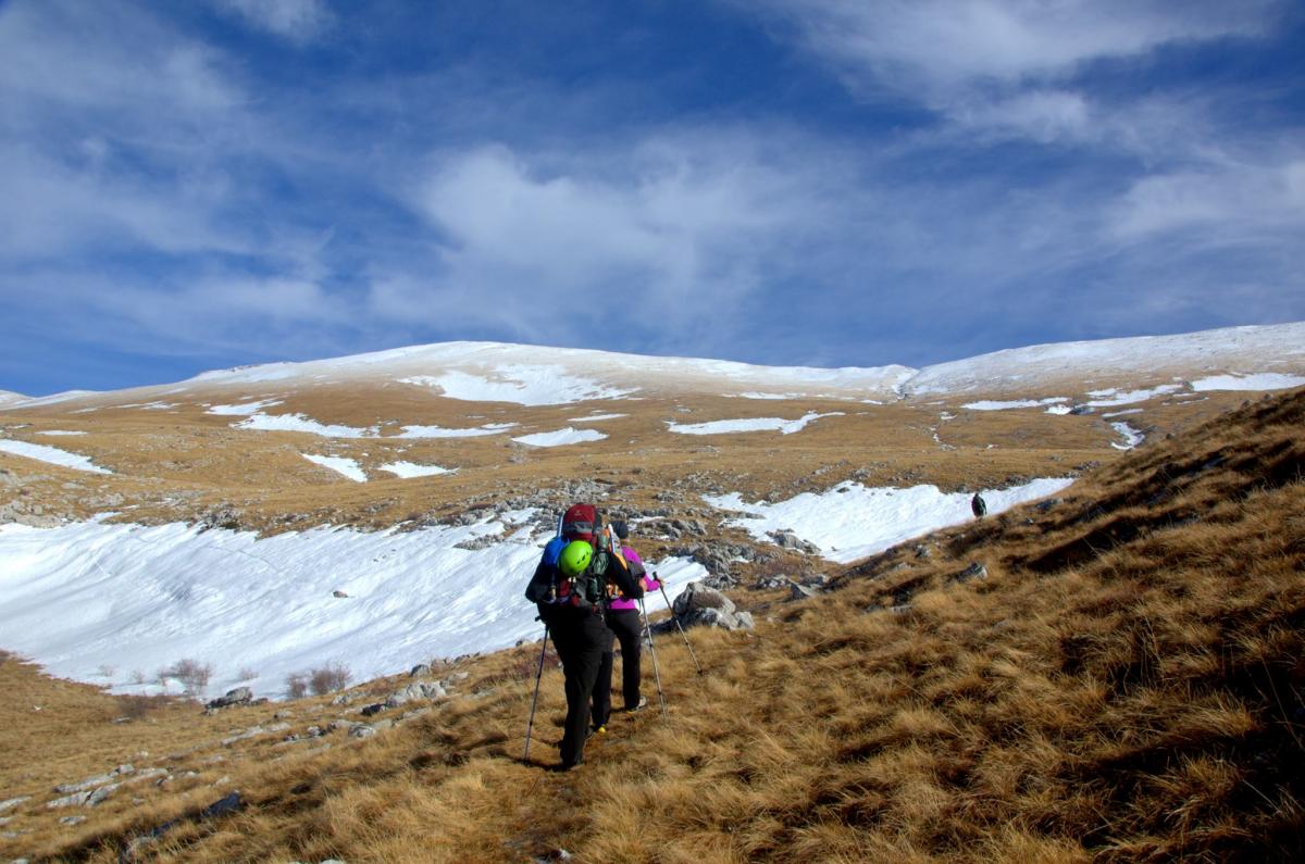 16523351_591251944402820_1311790411_o