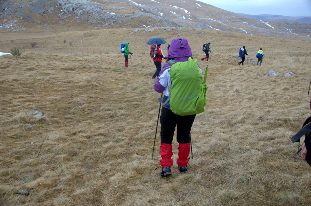 16523753_591256027735745_278031104_o