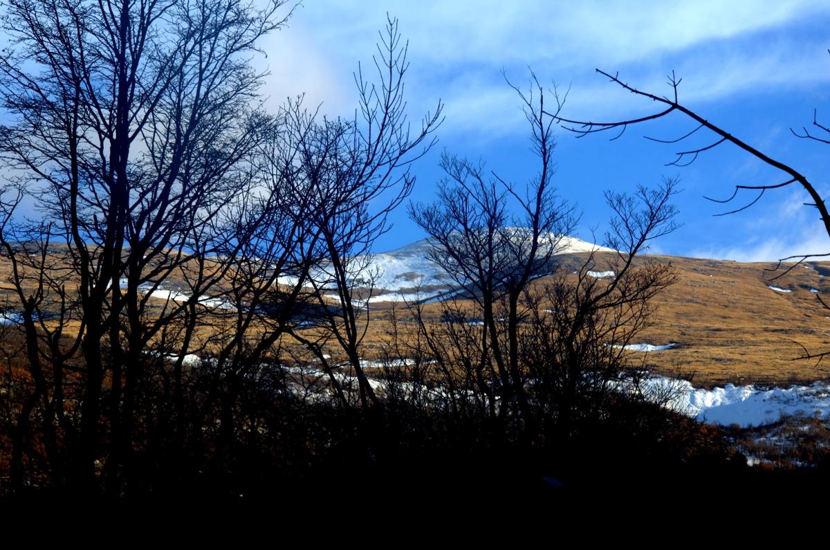 16586396_591250817736266_1386371108_o