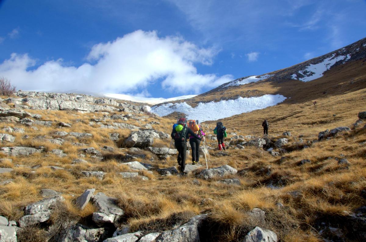 16593790_591251747736173_1601558753_o