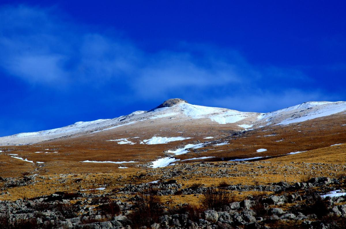 16593811_591253107736037_2139941634_o