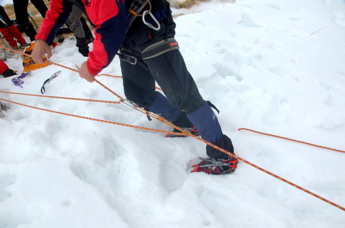 16650998_591255494402465_1534346451_o