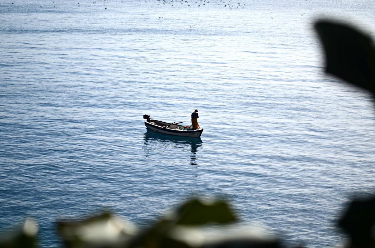 18406087_10211299128427076_1923158628_o