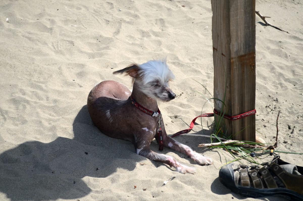 18406364_10211299036144769_1156101712_o