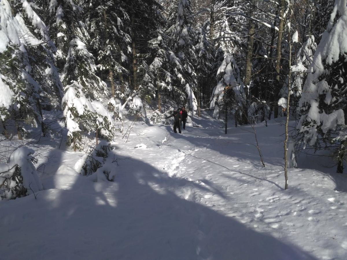 IMG_20170219_104254 Large