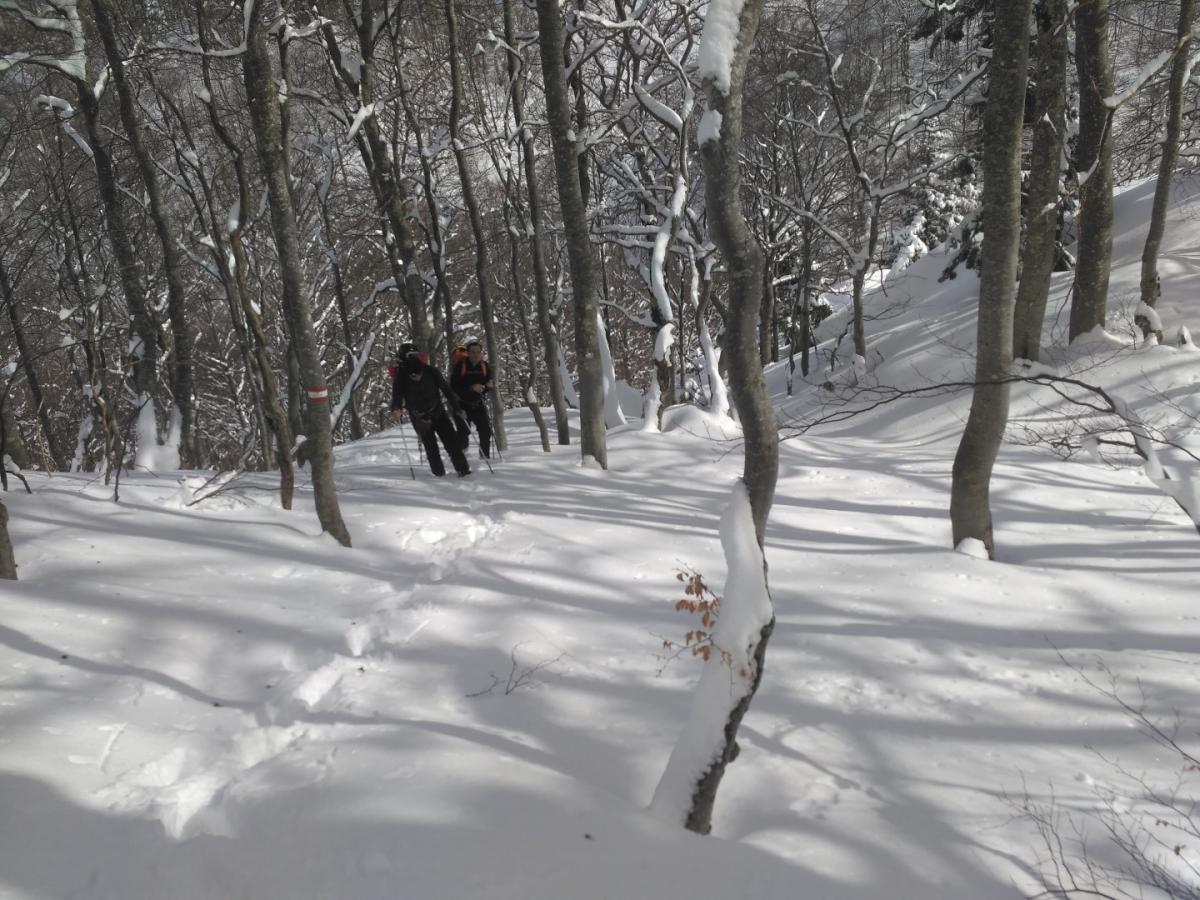 IMG_20170219_113208 Large