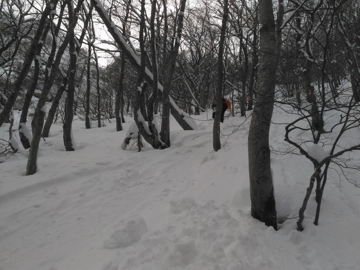 IMG_20170219_150541 Large