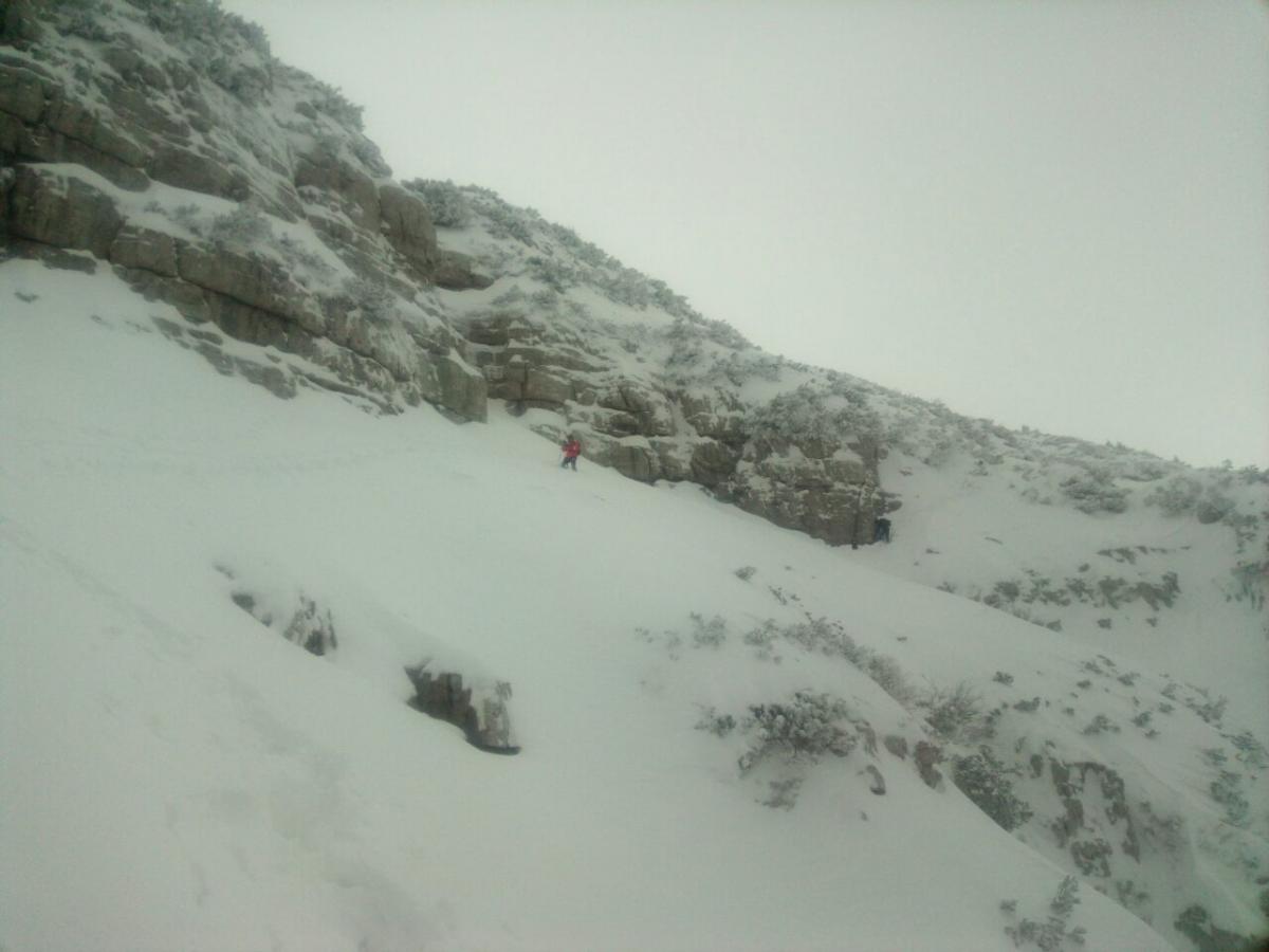 image-0-02-05-0b3b6a26f74d58d36e39884c43aa1f73e2ef51dd6ede7b1b49dfe959be177771-V