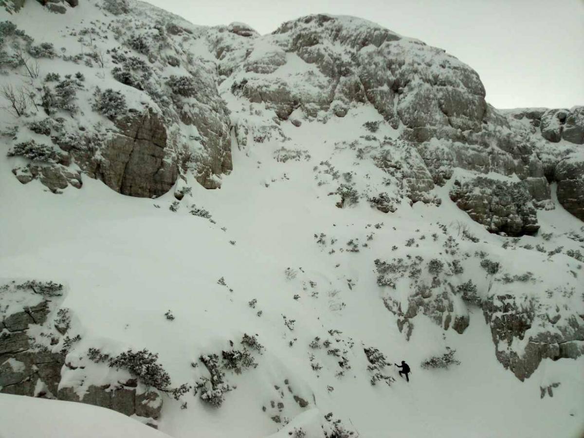 image-0-02-05-2e2c621653f550ead2fe2ca18970848ac35b628d9d2b95eaba16dd305300c75f-V