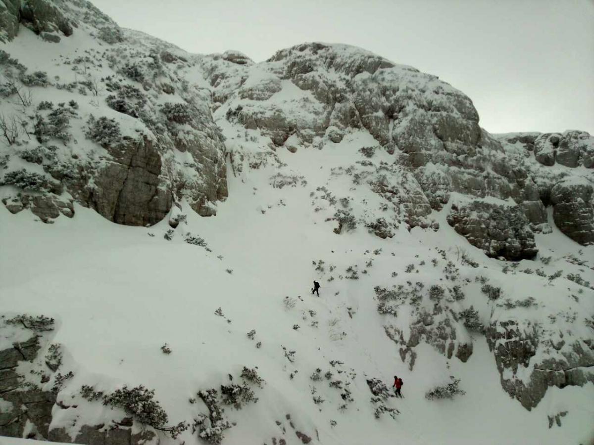 image-0-02-05-5d30a2e4ca29cedbda705fdc9116c1b286ecafa5eb7156e841e511eb64cc7a5b-V