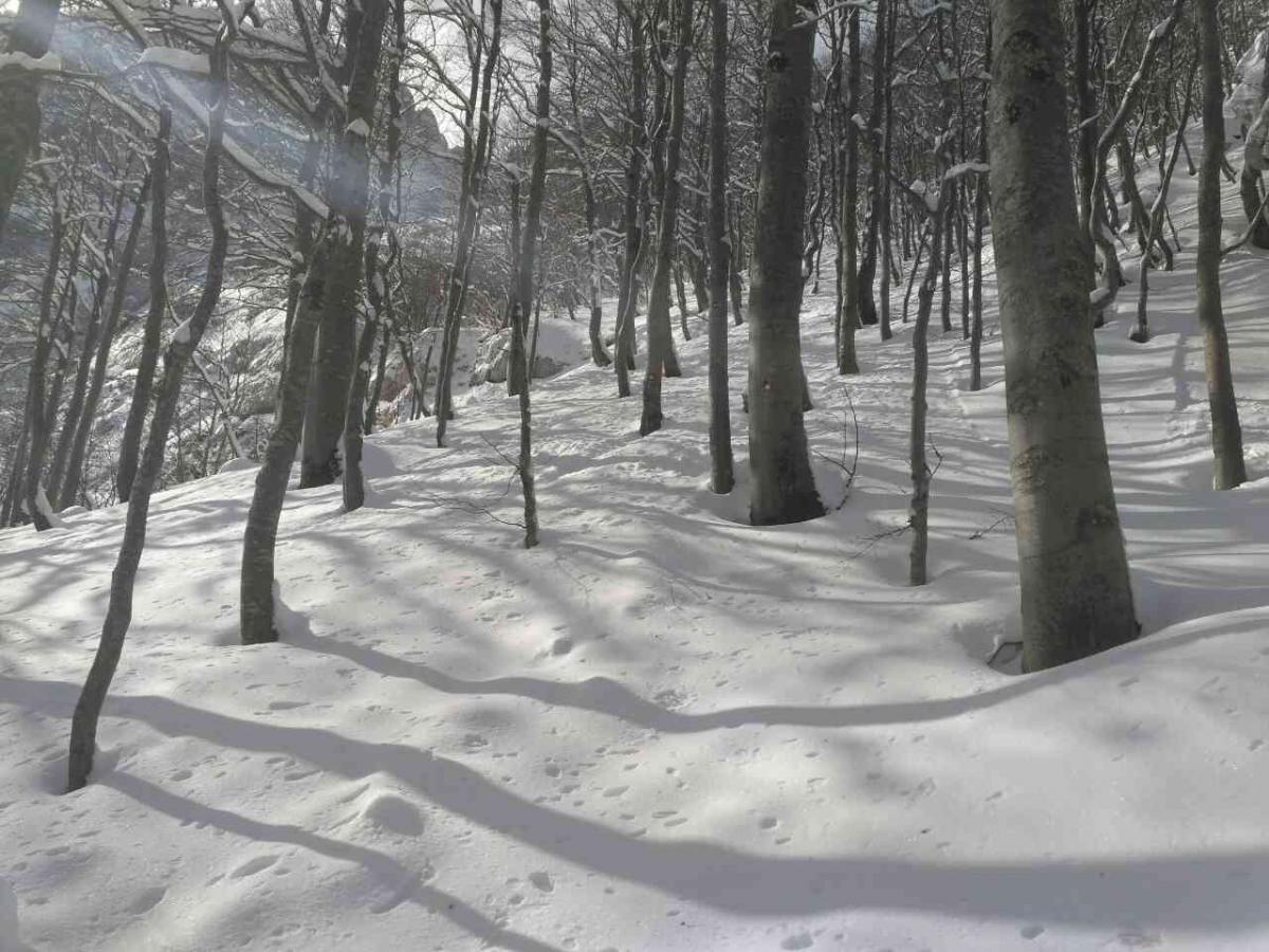 image-0-02-05-6e39d705f1624e974f064ed16f27677614dd4456d422c7a12539f571b0fe9b5b-V