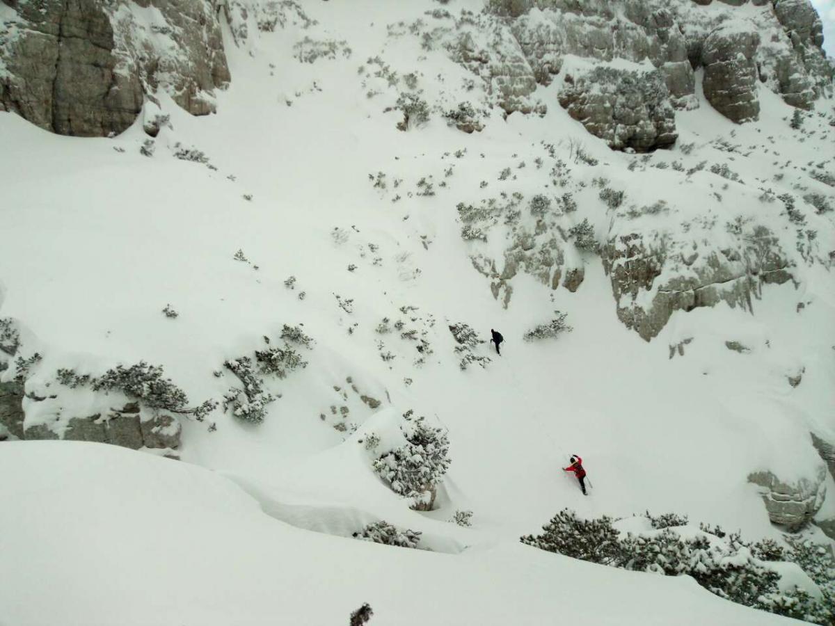 image-0-02-05-901302f0f3a56117e89e82a9f8ae63e3c9fcc42b73c0c8efeac6137391ccfd19-V